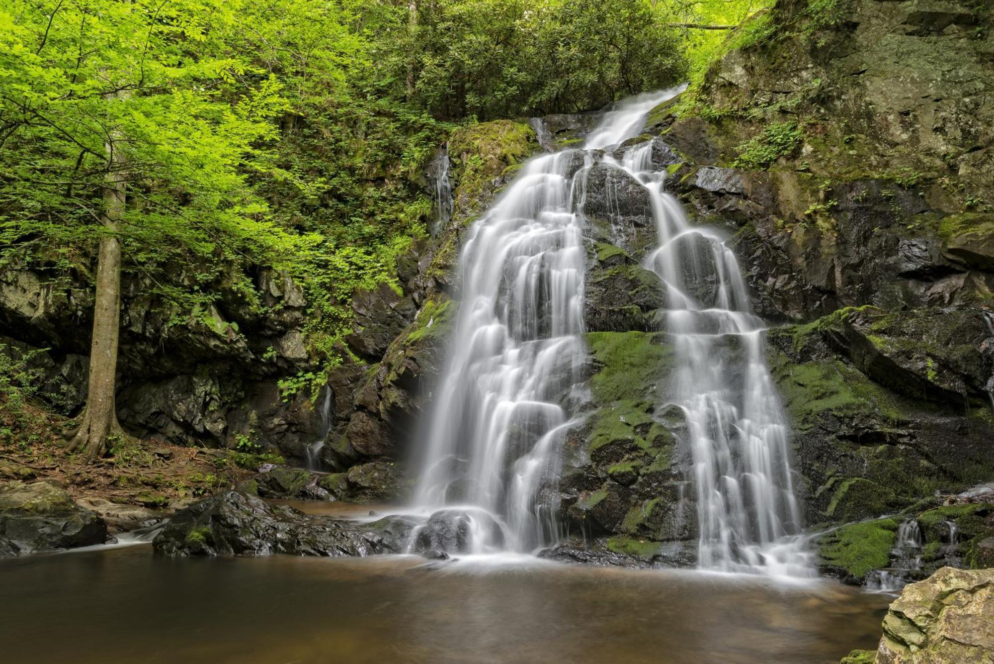 Key Lime Pie, Hot Tub,Wifi, 1089 Free Tickets Each Paid Day, Dollywood And More 蓋特林堡 外观 照片