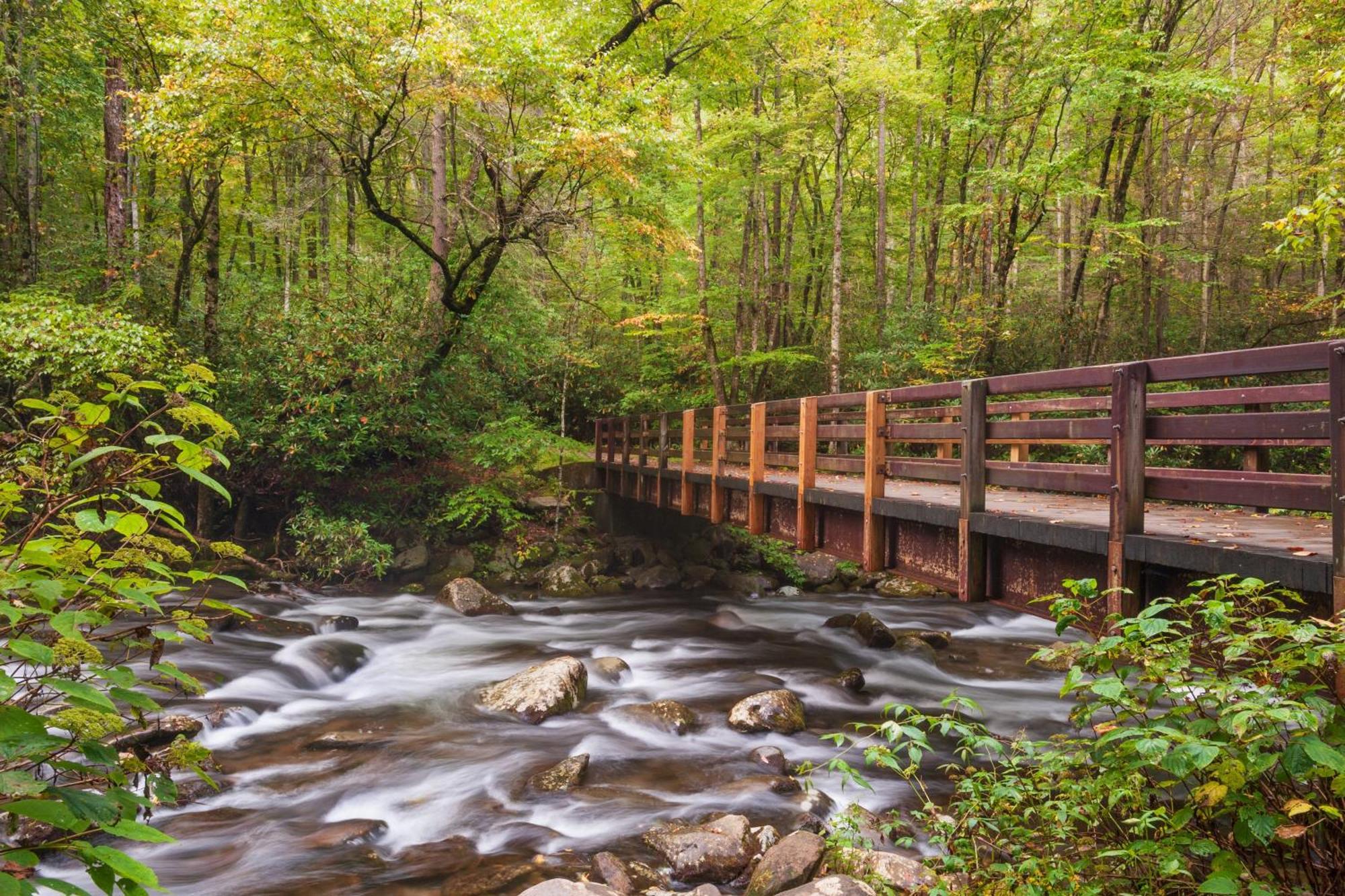 Key Lime Pie, Hot Tub,Wifi, 1089 Free Tickets Each Paid Day, Dollywood And More 蓋特林堡 外观 照片